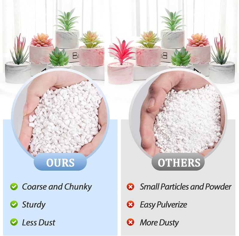 Riare 6 Quarts Organic Perlite for Plants - Horticultural Soil Amendment for Potting Mix, Natural Chunky Soil Additive Conditioner to Improve Root Growth, Drainage and Ventilation - Image 4